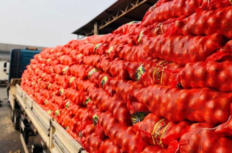 Cebola nacional teve redu&ccedil;&atilde;o de 9%