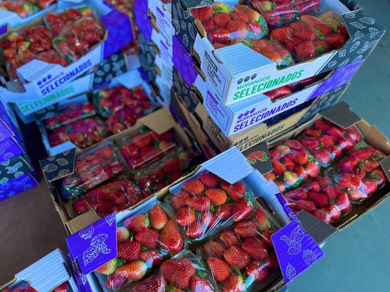 Alta procura gerou aumento no preço da fruta