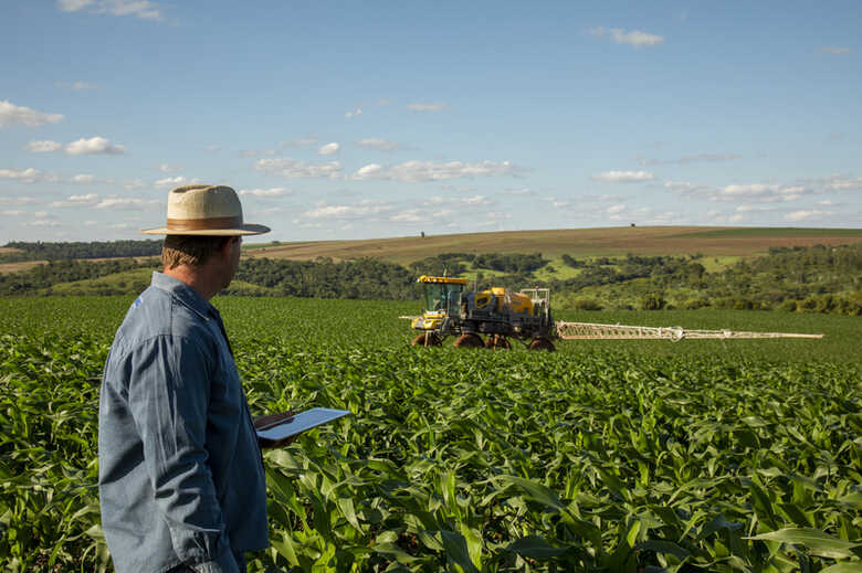Foto: Divulgação/BASF