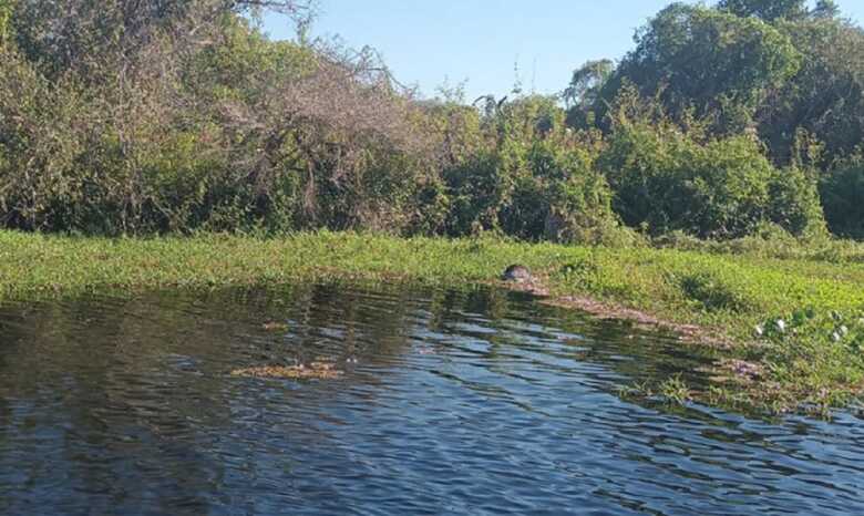 Local onde o corpo foi encontrado