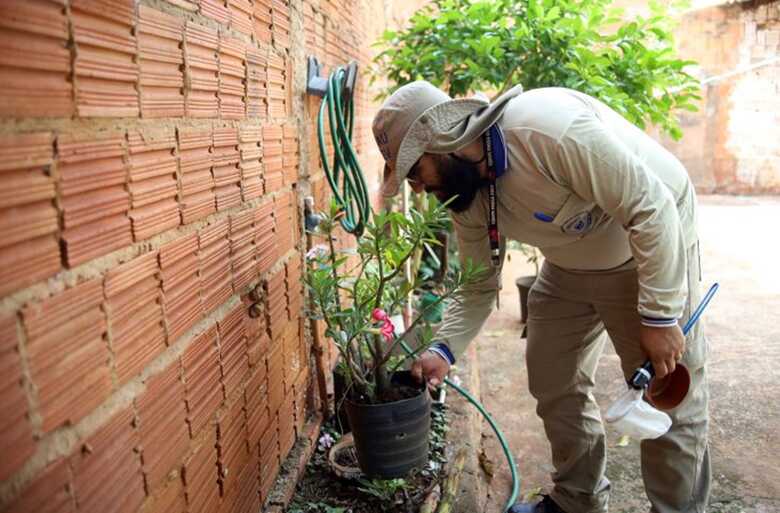 Dengue segue em alta em MS
