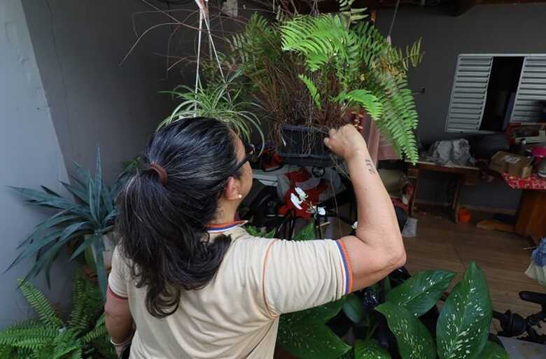 Casos seguem aumentando