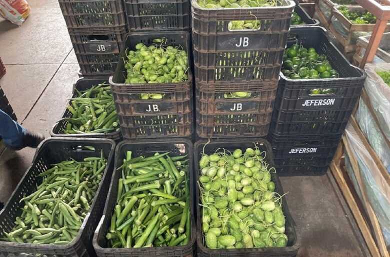 Hortaliça lidera no ranking de queda de preços