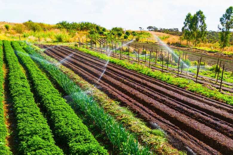 Foto: Wenderson Araujo/Trilux/CNA  