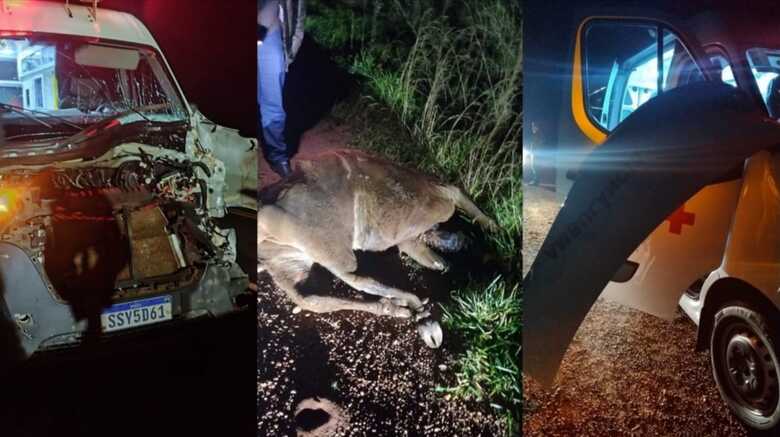O acidente aconteceu na madrugada de terça