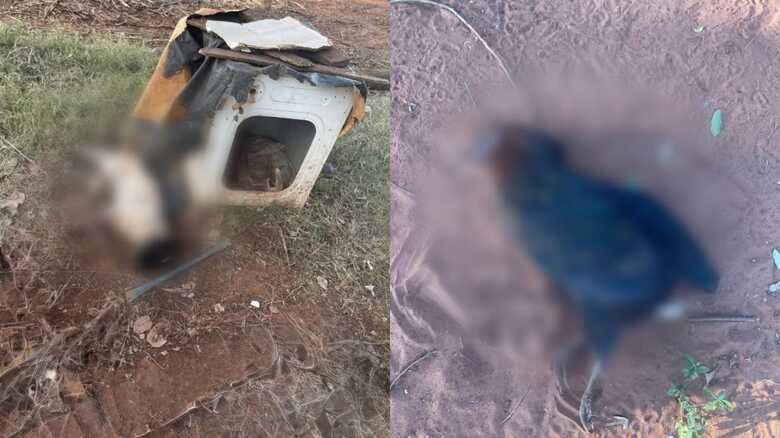 O ataque aconteceu na tarde de domingo