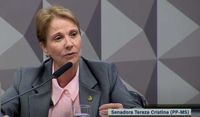 Senadora na abertura dos trabalhos - 