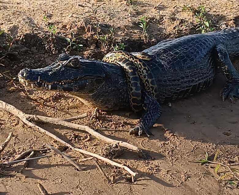 Fotos: @otaviio.amarall
