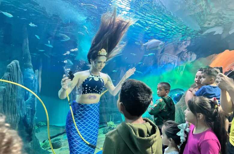 Público poderá interagir com sereia durante oficinas