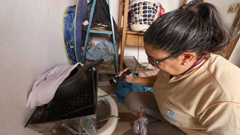 Dengue ainda mantém número alto de casos