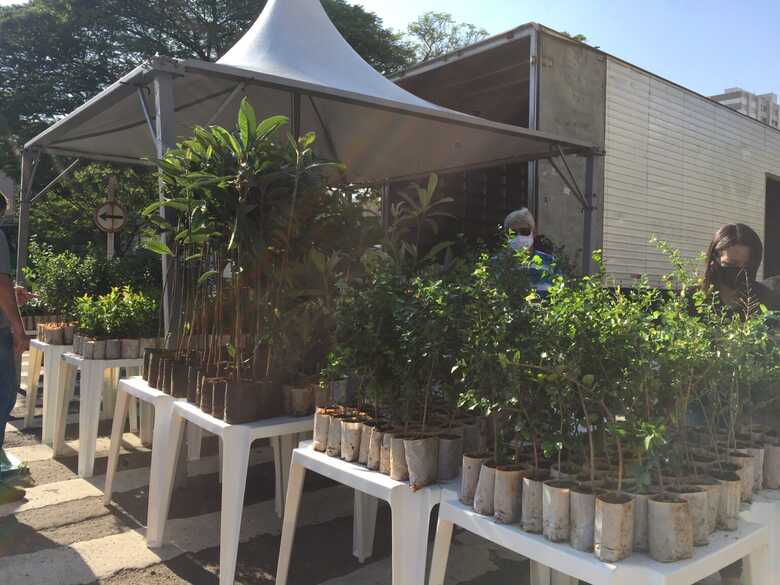 Ação será neste sábado