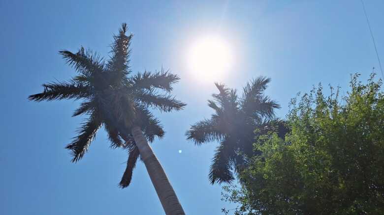 Foto: Sarah Chaves/JD1