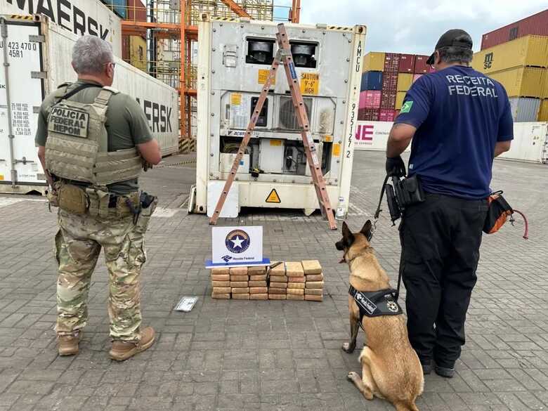 Foto: Polícia Federal do Pará