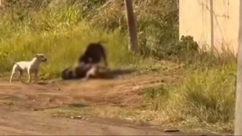 O ataque aconteceu na manhã de hoje