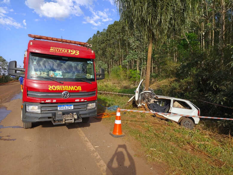 Carro ficou totalmente destruído ao bater em um coqueiro