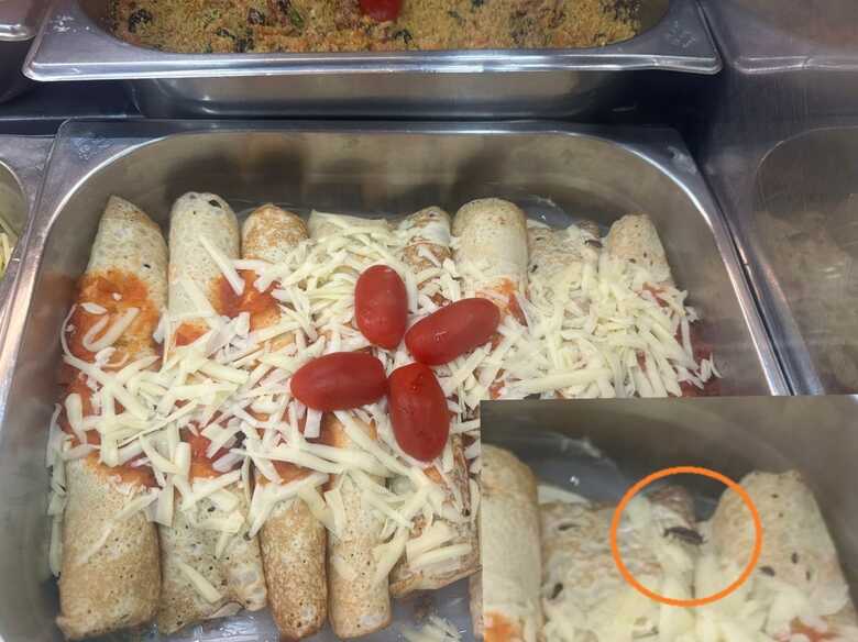 O animal foi avistado por uma leitora