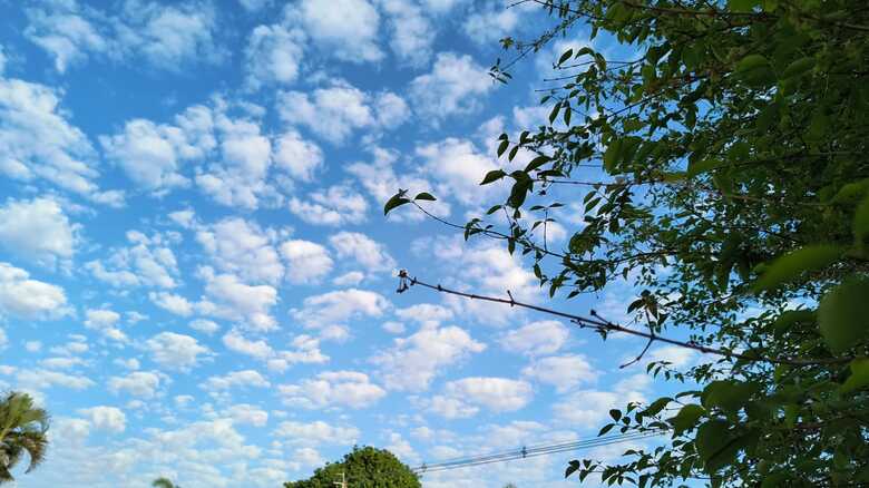 Tempo seco e firme em Campo Grande