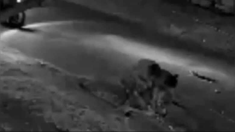 Dupla atacou Evandro com vários golpes de faca