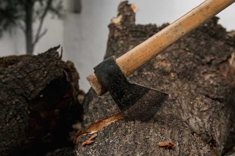 Ele foi socorrido pelo Corpo de Bombeiros, sendo encaminhado a Corumbá de barco pelo Rio Paraguai