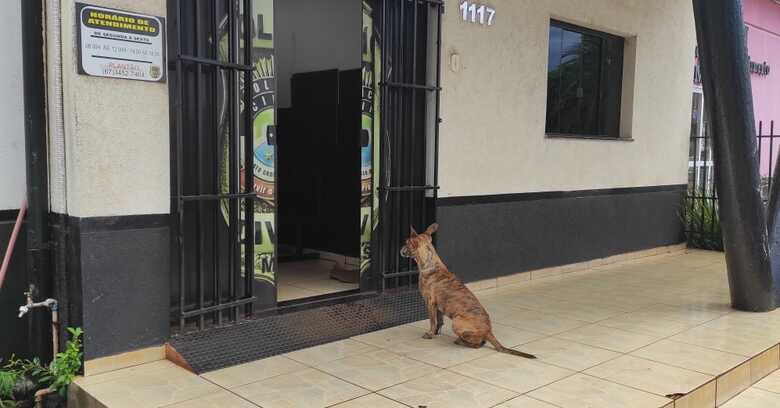 O flagra foi feito na manhã de hoje