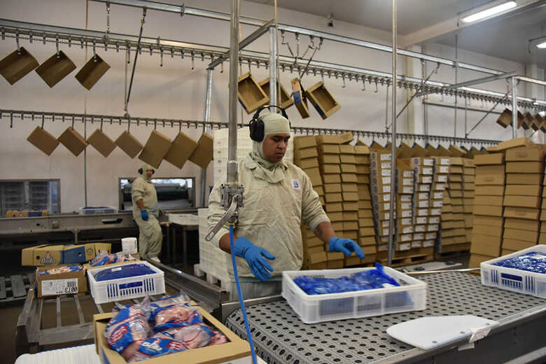 Foto; Observatório Fiems