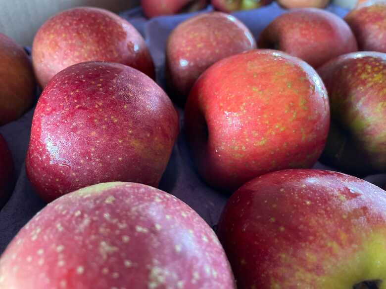 A maçã nacional também recuou cerca de 6%,