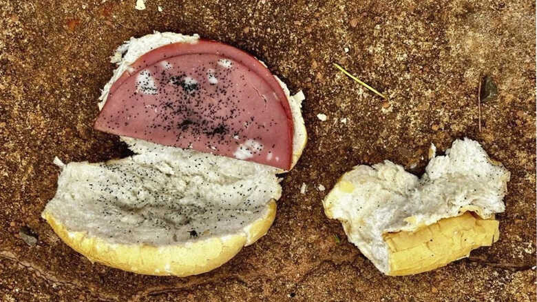 Pão com mortadela estavam envenenados com veneno para rato