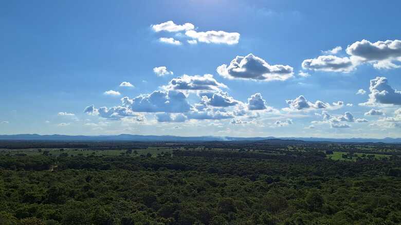 Foto: Sarah Chaves/JD1