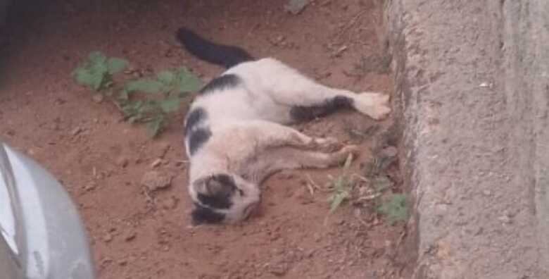 Foto: Rádio Caçula