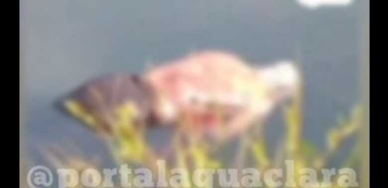 A vítima foi achada na manhã de hoje