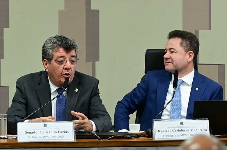 O senador Fernando Farias é relator e o deputado Cezinha de Madureira, presidente da comissão mista  
