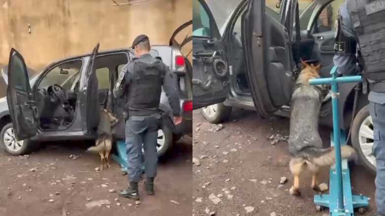 Droga estava em um compatimento oculto