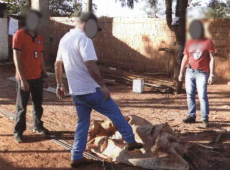 Investigação em 2011 - 