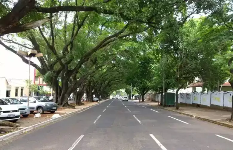 Quadrilátero abrange Avenida Mato Grosso