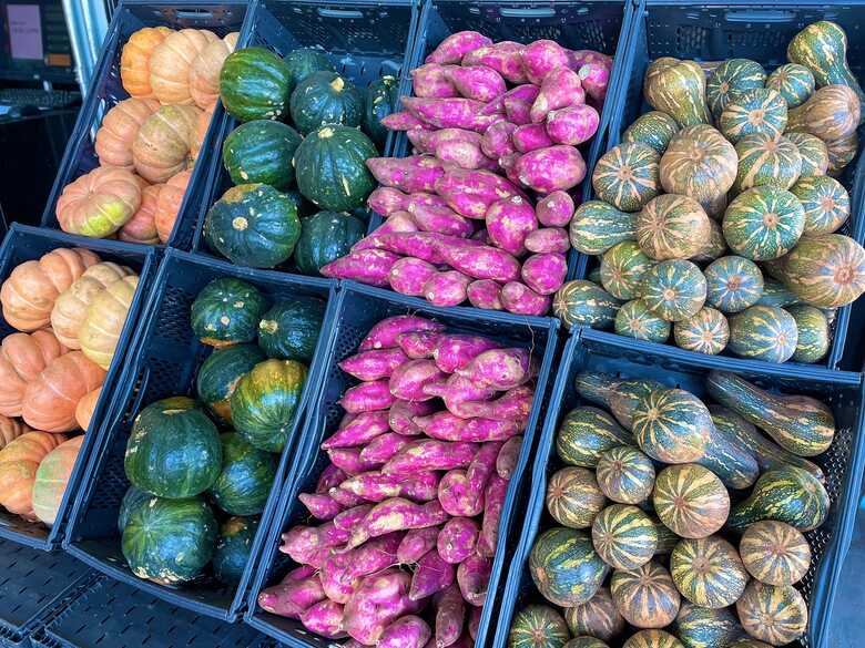 Batata doce apresentou queda no preço