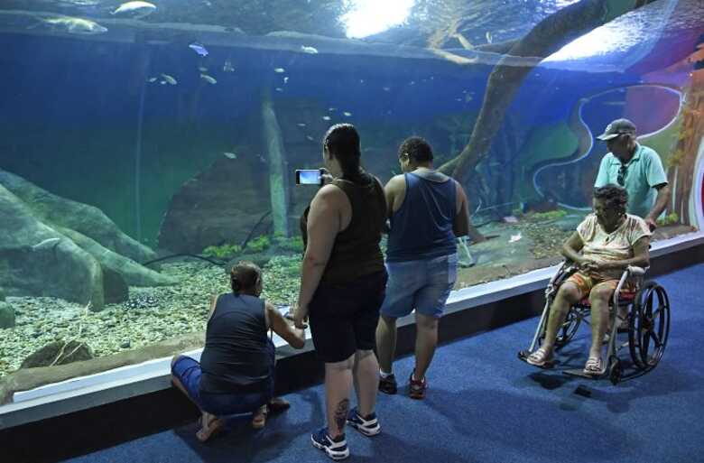 A certificação foi viabilizada pelo Sistema Comércio MS