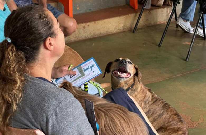 Em Dourados, a procura superou as expectativas: 5,6 mil inscrições foram registradas para as 1.600 vagas disponíveis