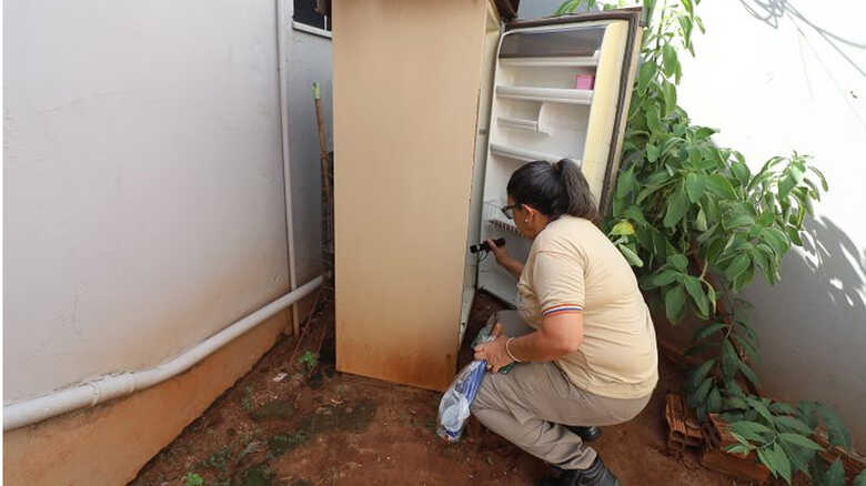 Dengue segue presente no estado