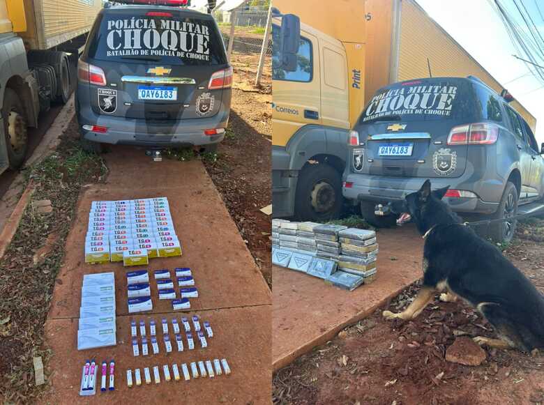 O entorpecente foi encontrado com auxílio do cão farejador, Aron