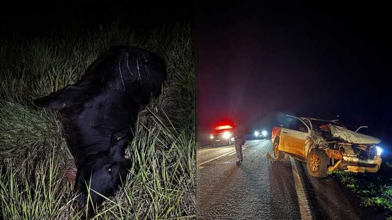 Caminhonete ficou com a frente destruída