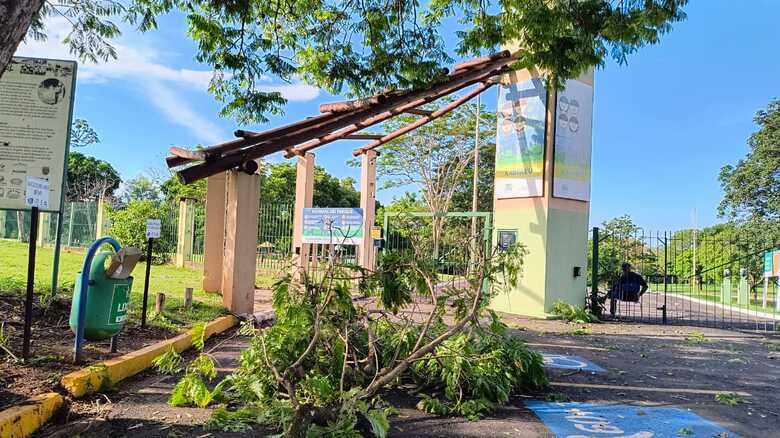 Galhos de árvores ficaram espalhados por todos os lugares do parque, mas foram retirados
