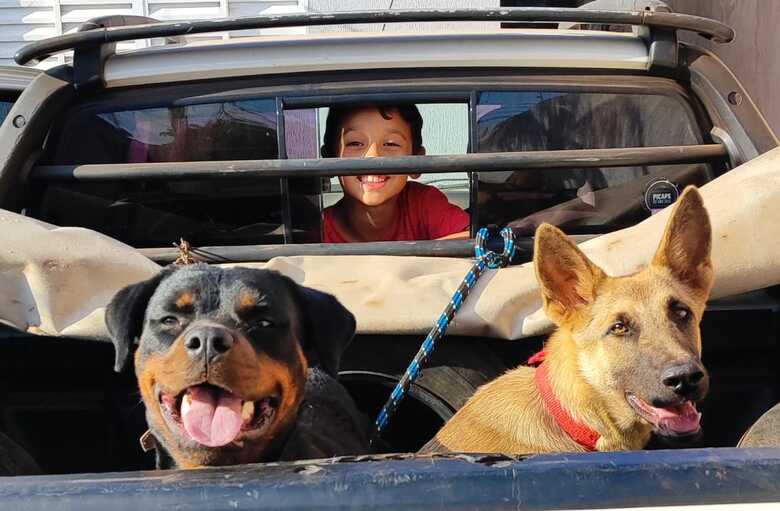 Cachorras fugiram da casa