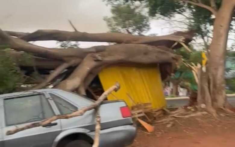 A queda aconteceu durante as chuvas de hoje