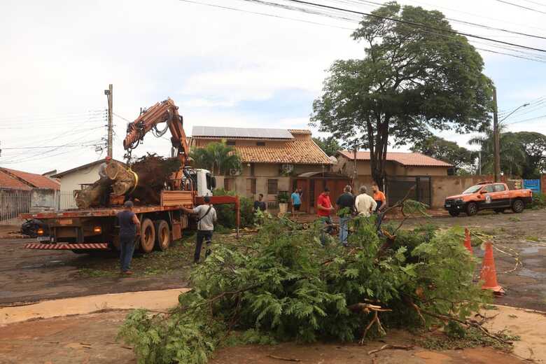 Mais de 40 chamados foram registrados pela Central 156