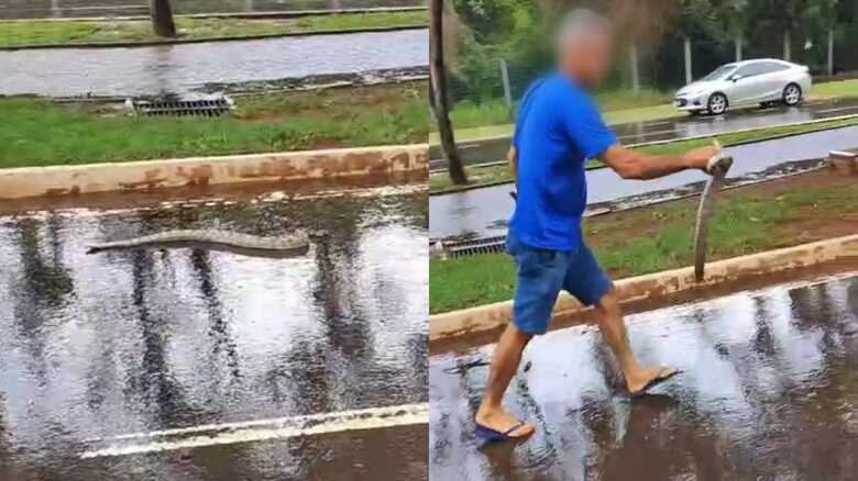 Jiboia foi devolvida para área fechada da região