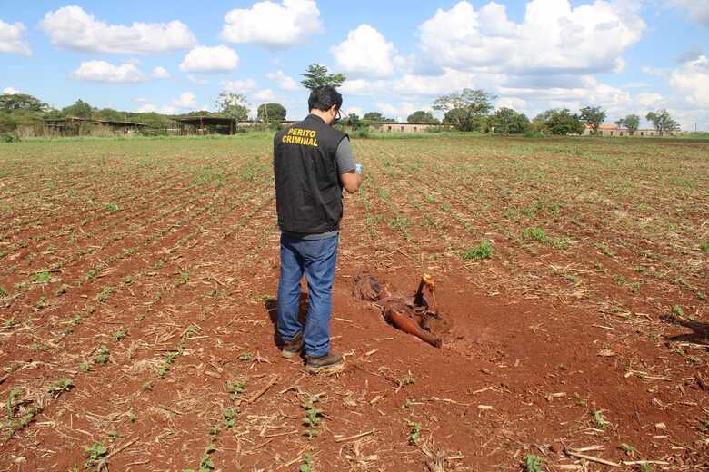 Corpo foi enterrado em cova rasa