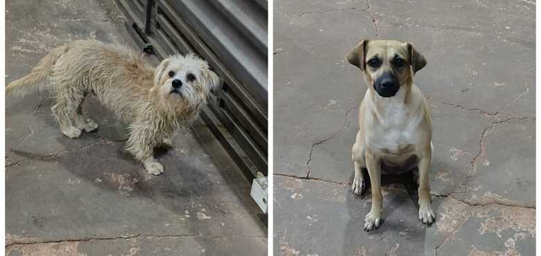 Aruan e Zaya moram na região do Universitário 