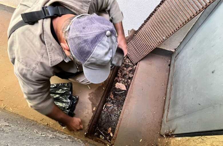 Casos de dengue seguem praticamente estáveis