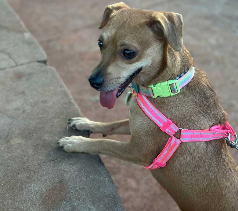 Caramelo Pa&ccedil;oca 