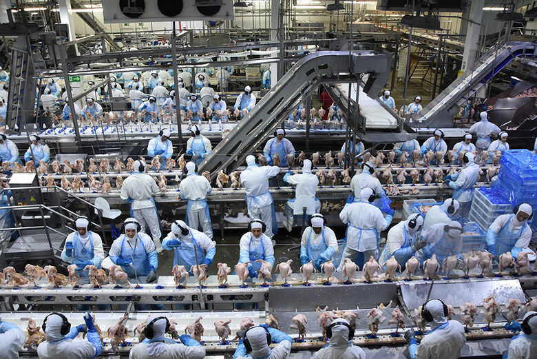 Foto: Observat&oacute;rio da Ind&uacute;stria